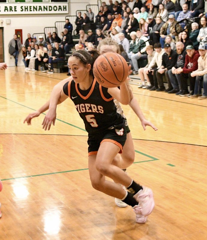 Strasburg's Sofia Secrest (5), seen here in the regular season against Shenandoah, scored 26 points to help the Tigers win a sectional championship against Bishop Rosecrans on Saturday, Feb. 21.
