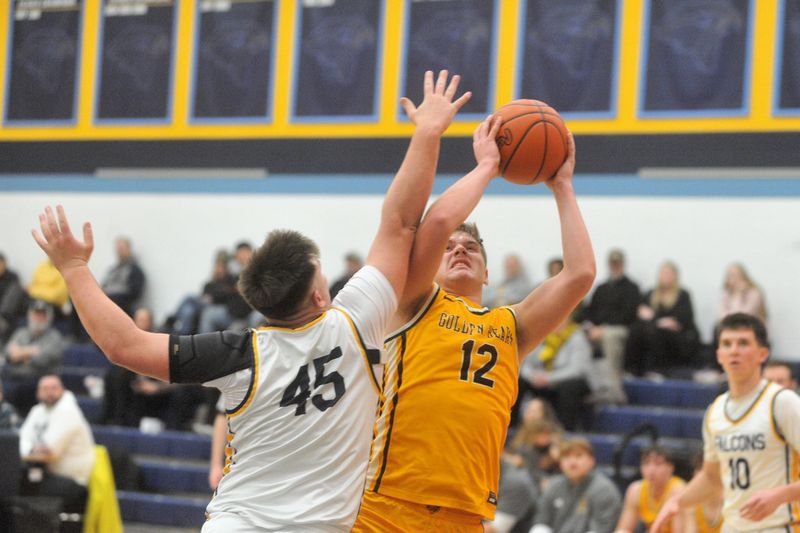 Waynedale's Brayden Schlabach puts up a shot around Hillsdale's Jake Haven.