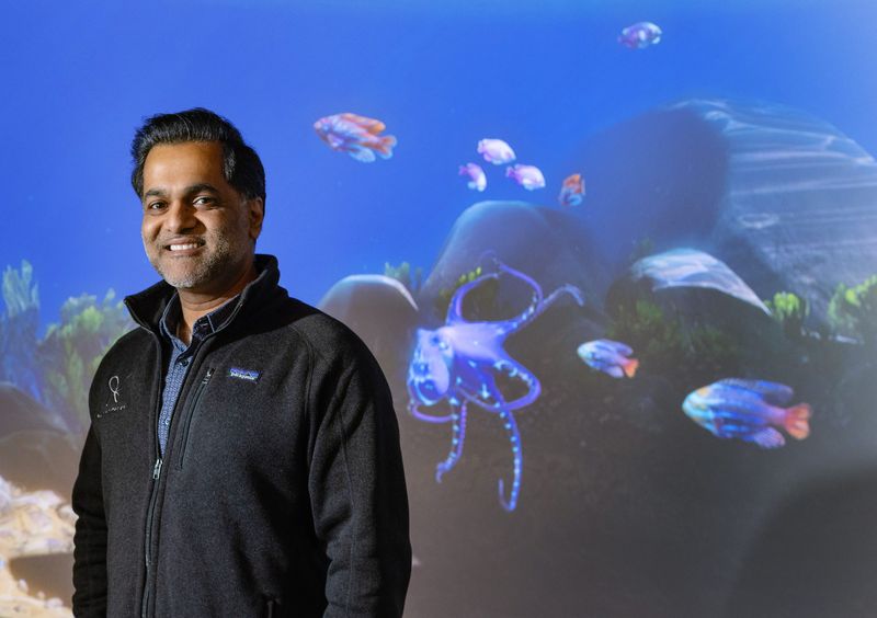 NeuroAnimation CEO Omar Ahmad and the onscreen exercise involving a virtual octopus.