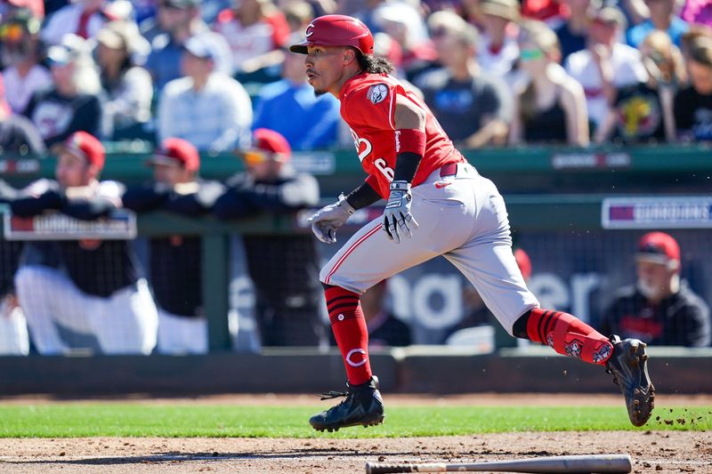 Edwin Arroyo is regarded by many as the best fielding shortstop in the organization and could possibly get a call to the majors as a utility infielder.