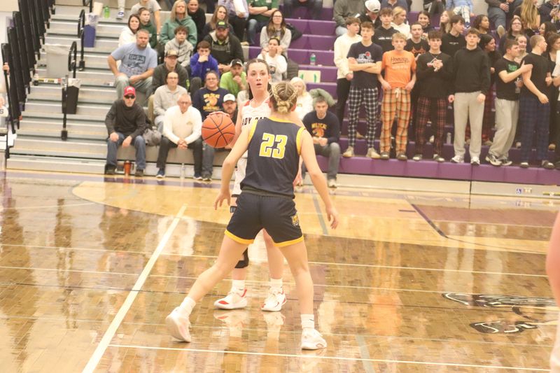 New London's Raeann Mitchell handles the ball.