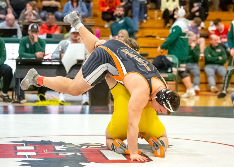 Gibsonburg's Haydin Brown and Woodmore's Bailey Jendrzejak wrestle in the 215 pound championship match.