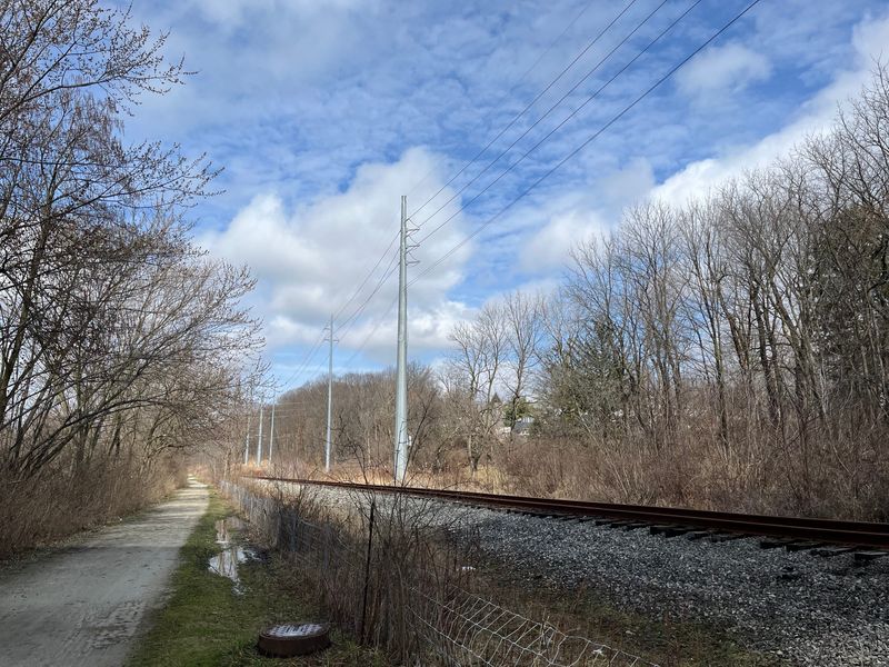 A north-south power line carries electricity by the West Branch Trail in Canton on March 6. Since 2025, electricity rates have significantly increased.