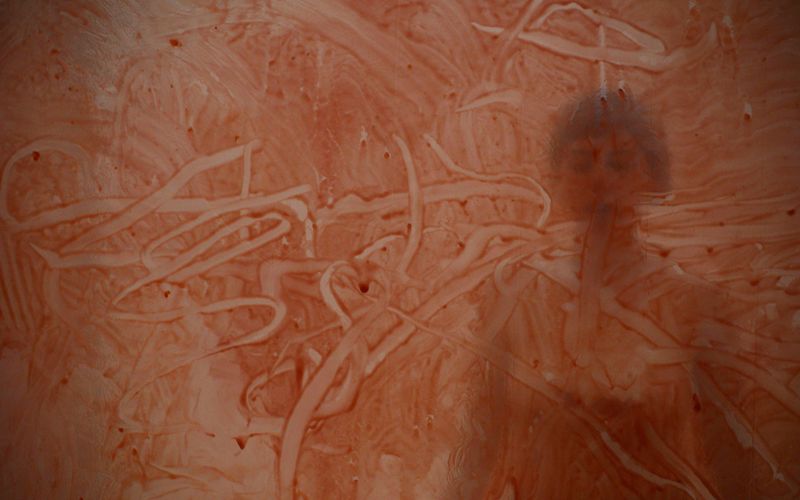 A photography still from Maddie McSweeney's live performance of "Untitled (Jam)," which the artist performed at the Akron Art Museum's Midwinter event in February.