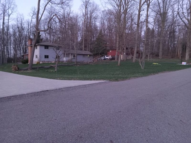 High winds uprooted a tree in a front yard on Bellview Street NE in Plain Township on March 13.