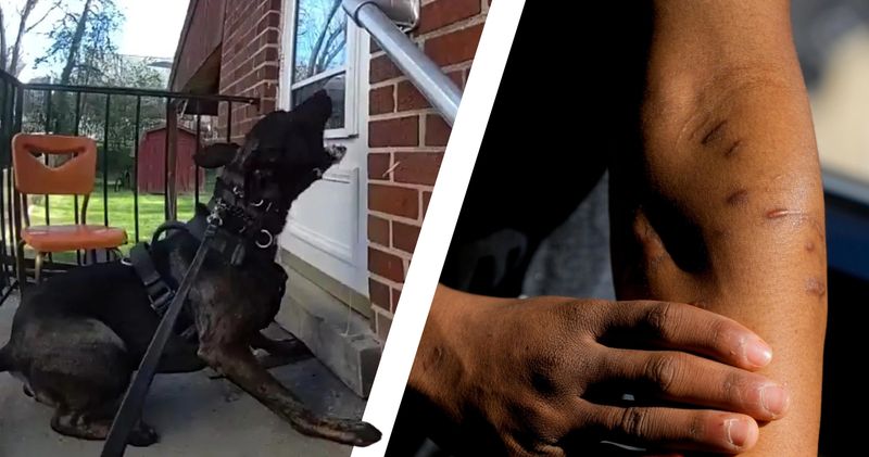 A teen was bitten by a police dog deployed during warrant service. His family questions if the dog was needed.