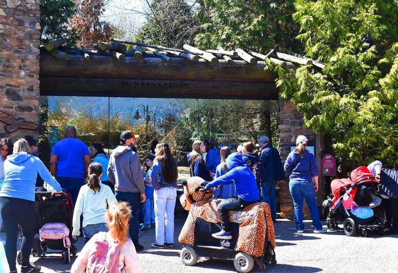 The Akron Zoo set a new single-day attendance record on April 8, 2026, on its Wear Blue Day.