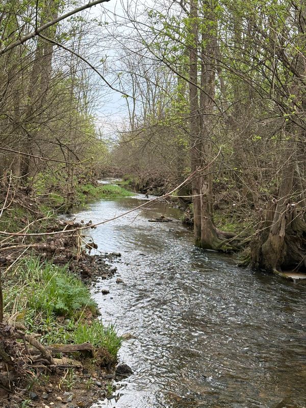 Hamilton Run, which flows through the Karis property, is a tributary of the Big Darby Creek.