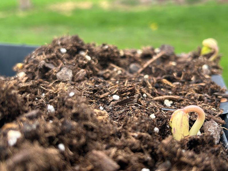 The National Weather Service has issued a freeze warning for the night of April 19, saying outdoor plants may need to be covered. April 19, 2026