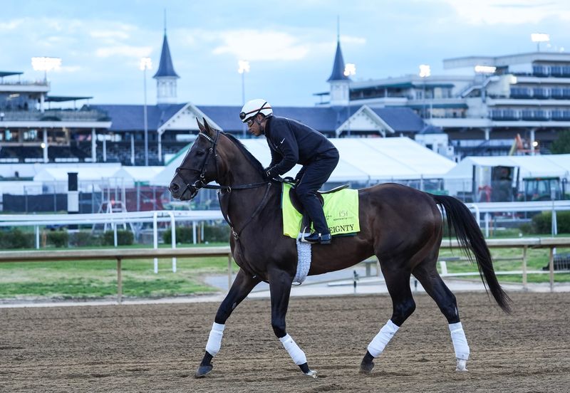 Sovereignty, the winner of the 2025 Kentucky Derby.