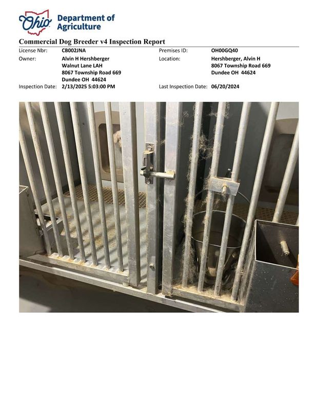 An image of Alvin Hershberger's breeding facilities included in an Ohio Department of Agriculture inspection report.