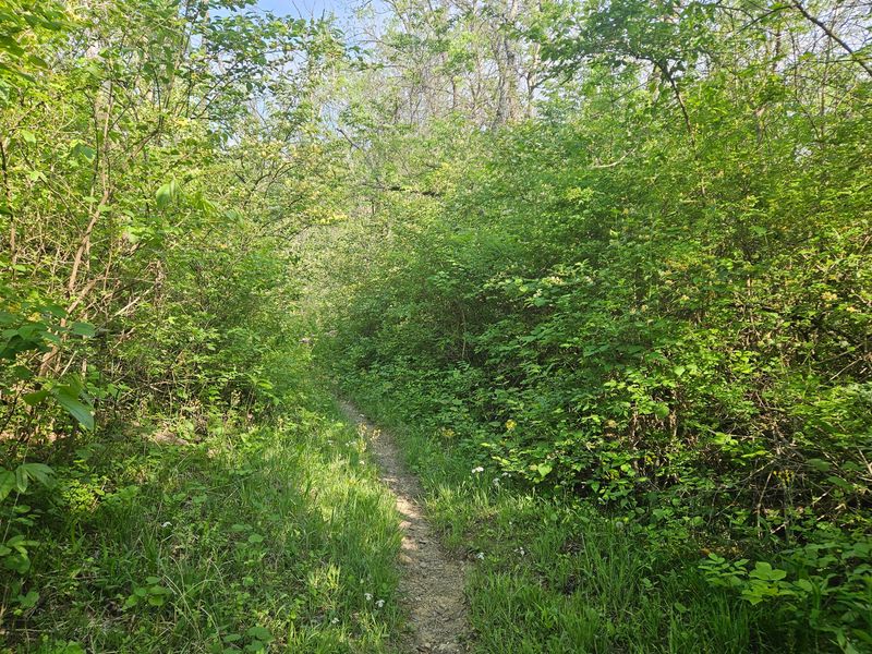 A trail at Great Seal State Park is seen here. The park is home to miles of hiking, biking and equestrian trails.