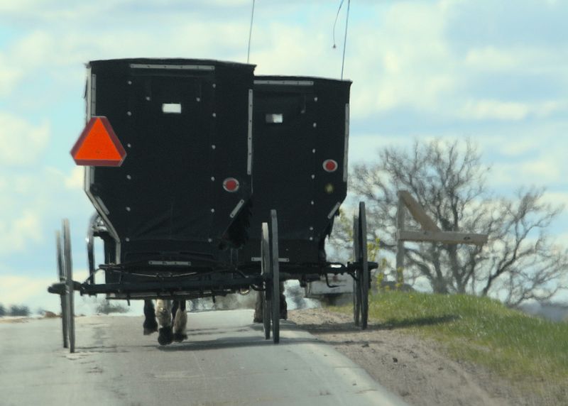 Amish buggies, one behind the other on County Road M near Augusta, make viewers think they are seeing double.
