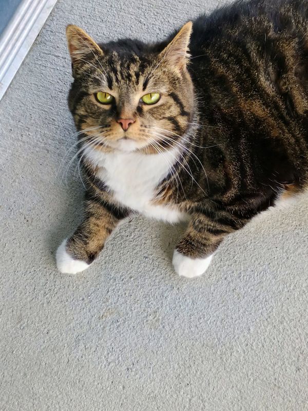 This is BB but you can call her Your Majesty