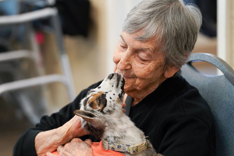 Marian Herbert, 91, holds Holly, a 6-week-old Nigerian Dwarf goat, Tuesday, May 19, 2026, at Artis Senior Living of Bridgetown in Cincinnati.