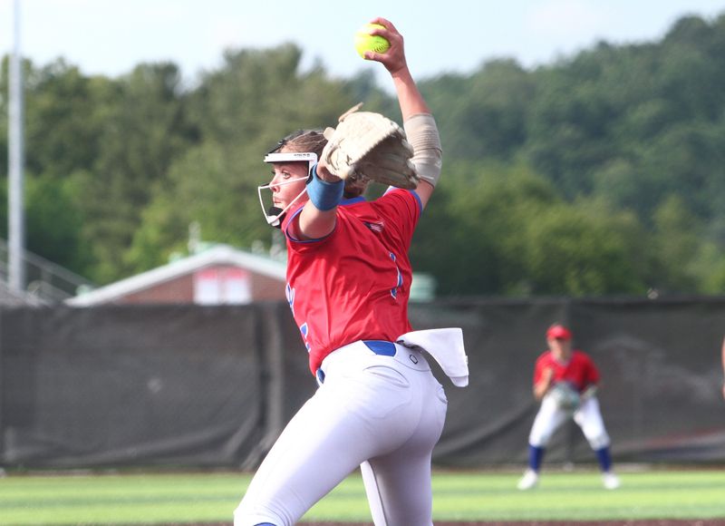 Licking Valley sophomore Emory Whisner struck out nine and had the game's only RBI on a sacrifice fly May 30 as the Panthers defeated New Concord John Glenn 1-0 in the Division IV, Region 13 final.