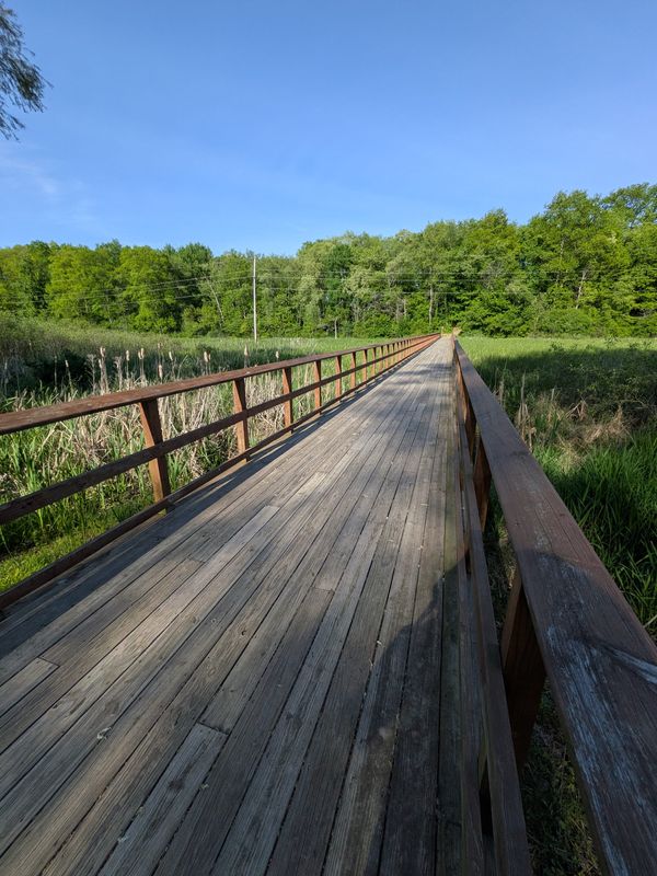 A 300-foot boardwalk crosses the marsh and is the only access to the main area of the Audubon Wetlands Preserve.