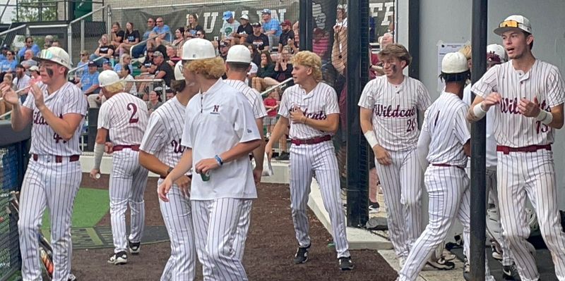 Newark's dugout, including Brody Randall (44), Bodie Smith (20) and Luke Miller (15) reacts to a play during the 5-2 Division I district semifinal win against Hilliard Darby, on May 26, 2026 at Dublin Coffman.