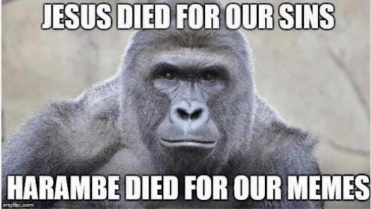An image of Harambe that circulated on the internet after the gorilla's death in 2016.