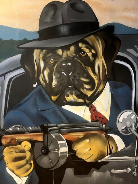 Atlas, one of Dapper Dog Tavern owner Spencer Campbell's two pets, is a Prohibition-era gangster in murals on the walls of the new pub in Grove City. Dapper Dog opens June 1, 2026.