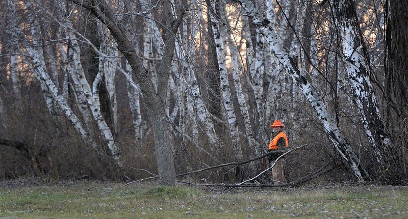 A January directive from the Trump administration would permit hunting on some previously restricted federal lands.