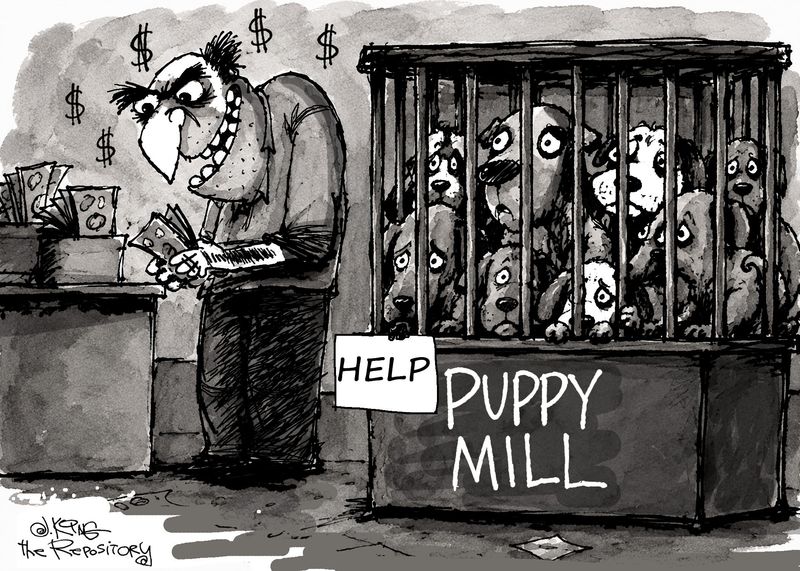 Editorial cartoonist Jerry King looks at troubling puppy mills.