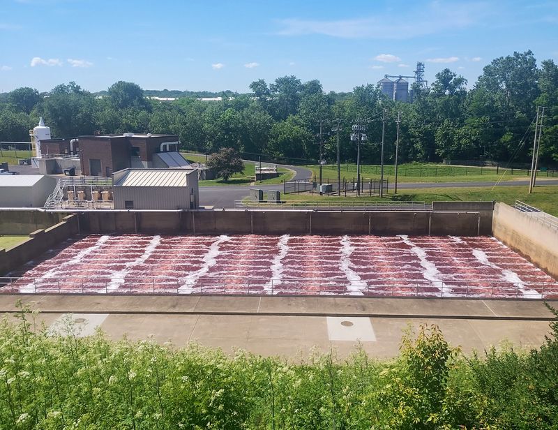 Wastewater containing nontoxic red dye was being processed on June 2 at the Massillon Wastewater Treatment center at Big Indian Drive SW. The city alerted residents in the afternoon that red water may be visible in parts of the Tuscarawas River south of the plant.