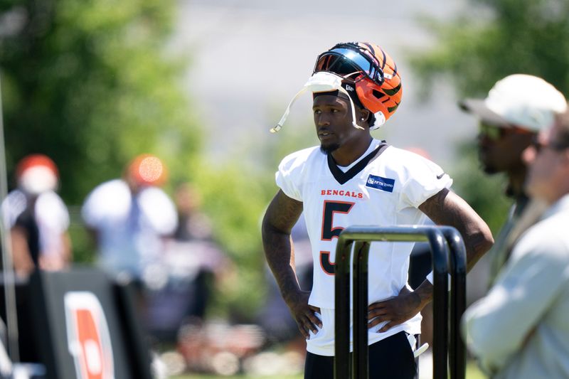 Cincinnati Bengals wide receiver Tee Higgins (5) stands during spring practice on at the Kettering Practice Fields on Tuesday, June 2, 2026.