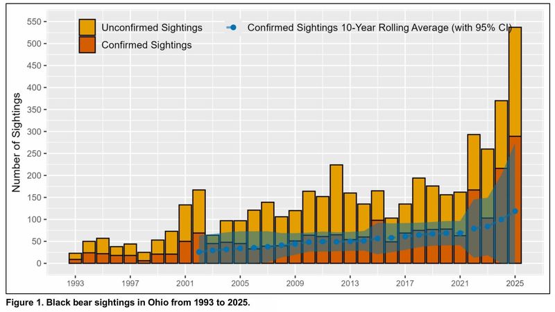 This graphic shows how black bear sightings have grown from 1993 to 2025.