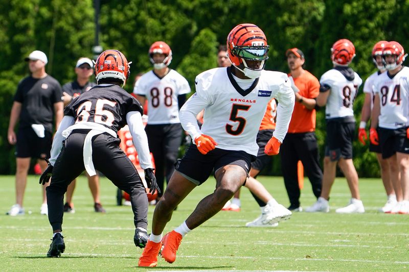 Cincinnati Bengals wide receiver Tee Higgins (5) runs drills during minicamp, Tuesday, June 16, 2026, at Kettering Health Practice Fields in downtown Cincinnati.