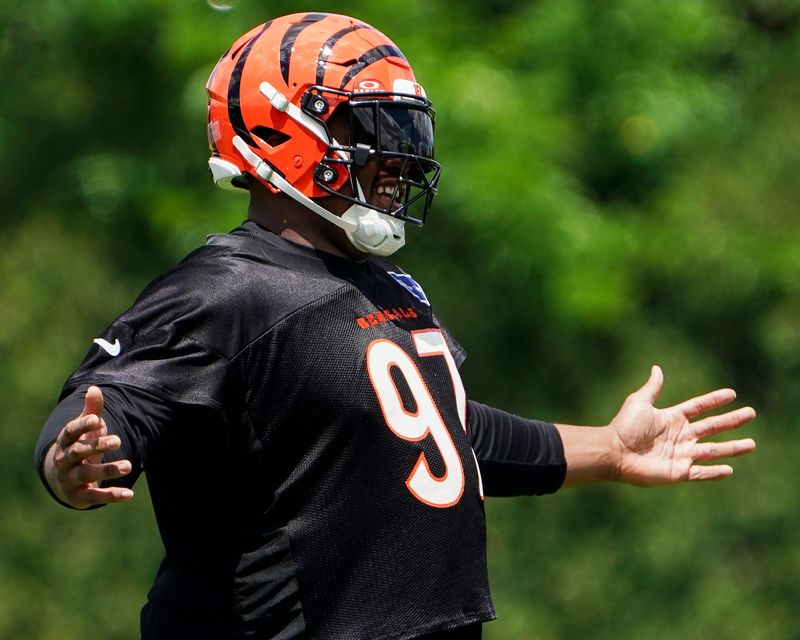 Cincinnati Bengals defensive tackle Dexter Lawrence II during minicamp.