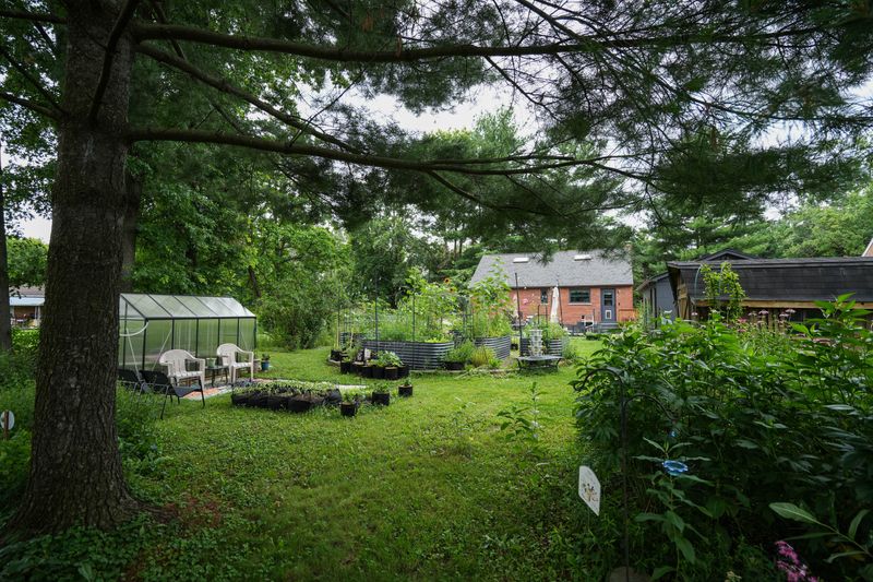 Holly Talmage's backyard waystation and native garden is certified by the North American Butterfly Association.