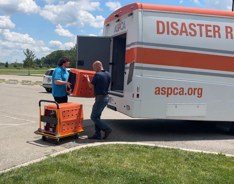 Two workers unload a couple of the rescued dogs from an American Society for the Prevention of Cruelty to Animals (ASPCA) van. They assisted in the transportation of 42 dogs from a Muskingum County residence to the Licking County Humane Society's shelter on June 24.