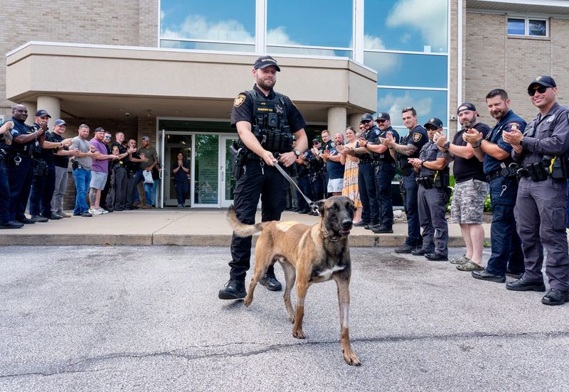 Wayne County Sheriff’s K-9 officer Vick was released from Metropolitan Veterinary Hospital with rows of support from local law enforcement in Copley on July 7, 2026.