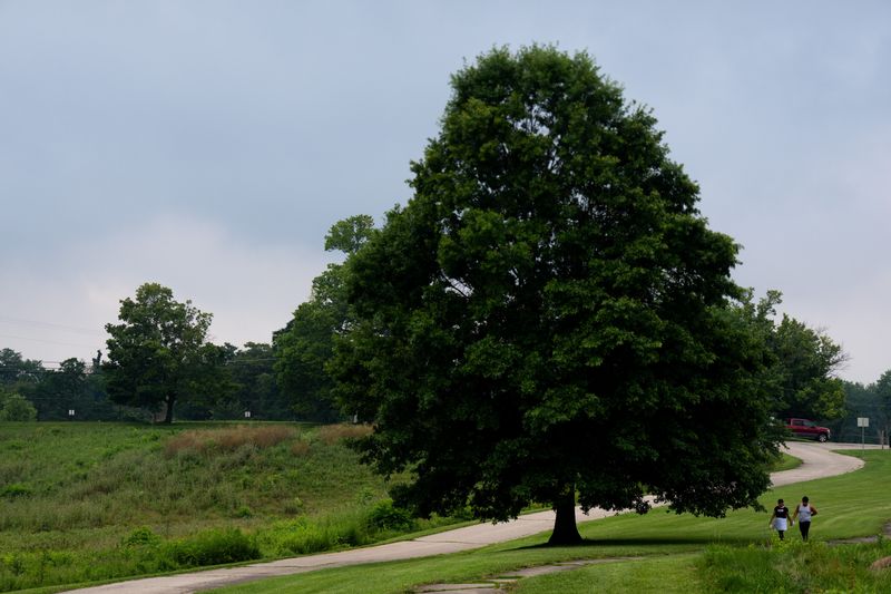 The New Kenton County Park will be built on the site of the former Fox Run Golf Course, which is already open for passive recreation, including hiking, walking, bicycling, fishing and wildlife observation.