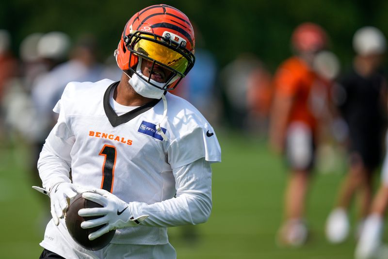 The Cincinnati Bengals 2026 regular season is nearly underway. Here's what to know.