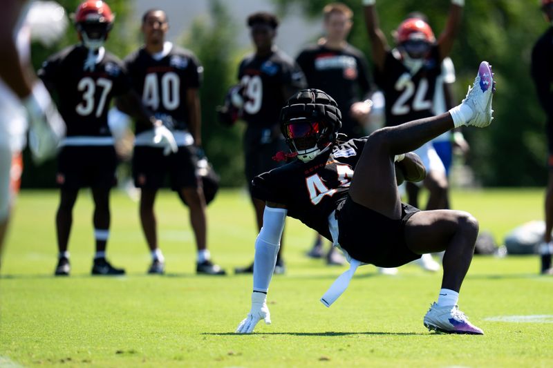 Cincinnati Bengals linebacker Demetrius Knight Jr. (44) intercepts a pass during the training Camp at the Kettering Health Bengals Practice Fields in downtown Cincinnati on Thursday, July 30, 2026.