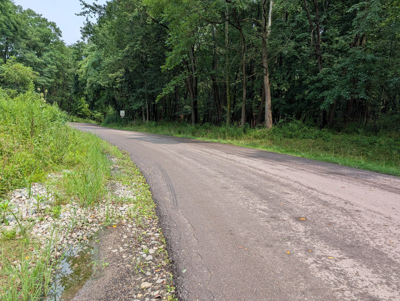 Quiet, secluded Peck Road is pictured Aug. 10, 2026, at Cascade Valley Metro Park in Akron. The road has been closed to the public since 2023 as the EPA prepares to demolish the Gorge Dam.