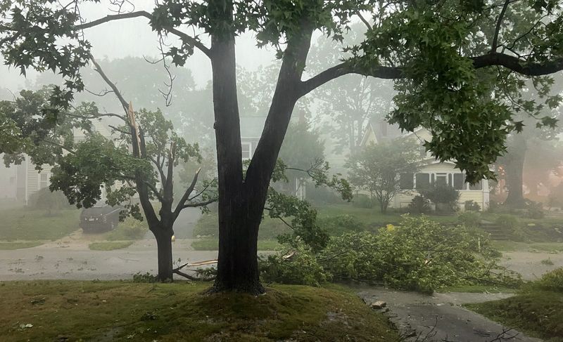 Storm damage on Piedmont Rd in Clintonville on August 11, 2026.