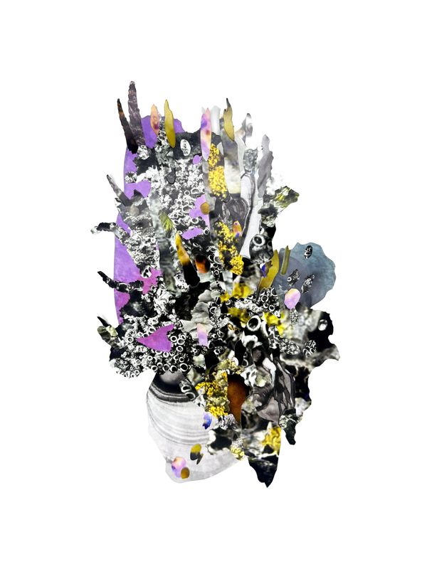 An art show featuring the work of Nicole Condon-Shih will be on display at University of Mount Union beginning Aug. 24.