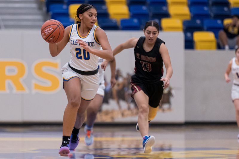 Former Eastwood High School basketball player Amaya Williams has signed to play at Division 1, UT-Arlington after two successful years at Lamar Community College in Colorado.