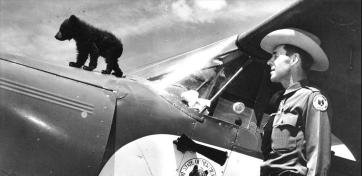 Nursed back to health under the watchful eye of Ray Bell, warden of the New Mexico Game and Fish Commission, Smokey stands on the plane that flew him from the Lincoln National Forest to Santa Fe for emergency treatment of his burns.