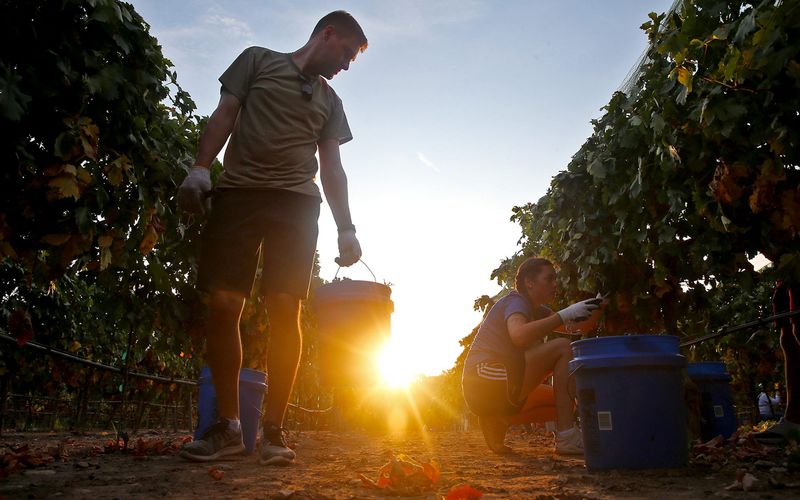 Learn more about the investigation of a serial killer at a true crime night at a Christoval winery.