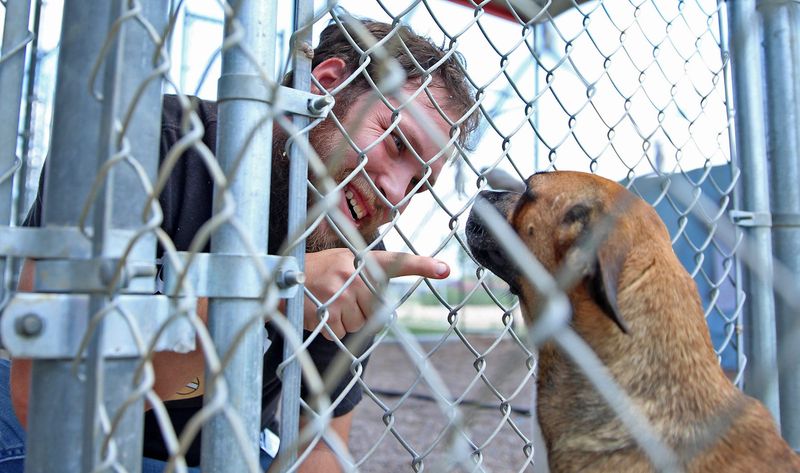 Concho Valley PAWS is asking for the community's help for pets that were affected during the flood on July 4, according to a news release.