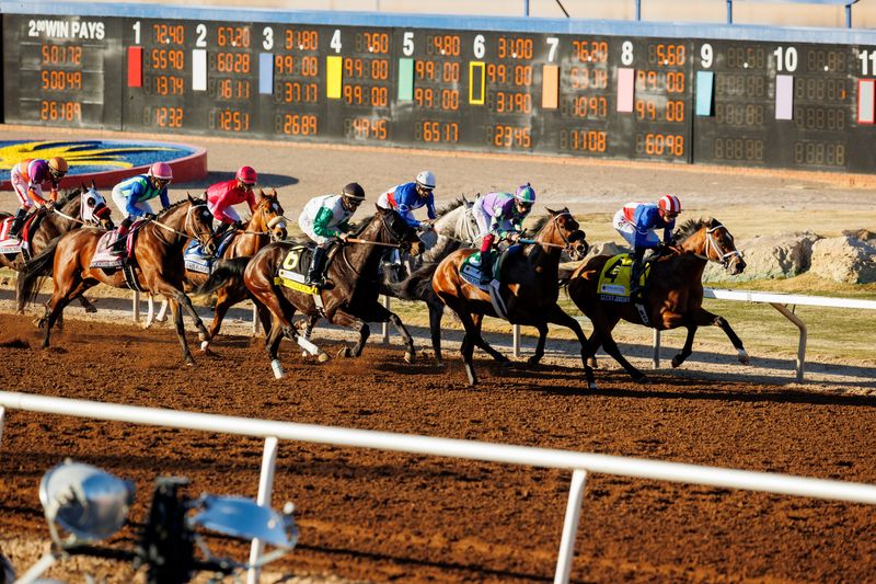 Sunland Park Racetrack & Casino will resume live racing on Friday, Feb. 6.