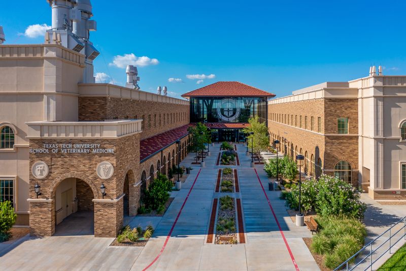 The Texas Tech University School of Veterinary Medicine in Amarillo is seen in this March 2024 file photo.