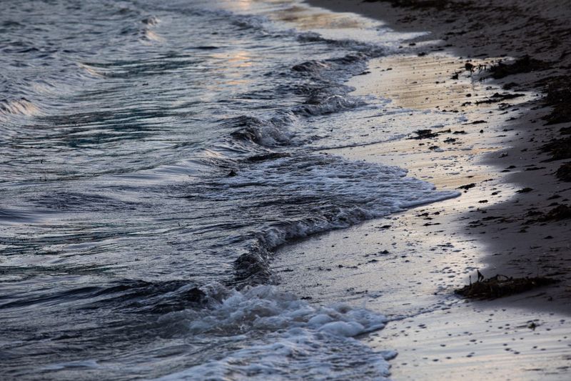 Bay water laps onto a shore on North Beach, Tuesday, June 25, 2024, in Corpus Christi, Texas.