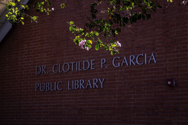 Sunlight highlights a blooming tree outside of the Dr. Clotilde P. Garcia Public Library on Thursday, Aug. 8, 2024, in Corpus Christi, Texas.