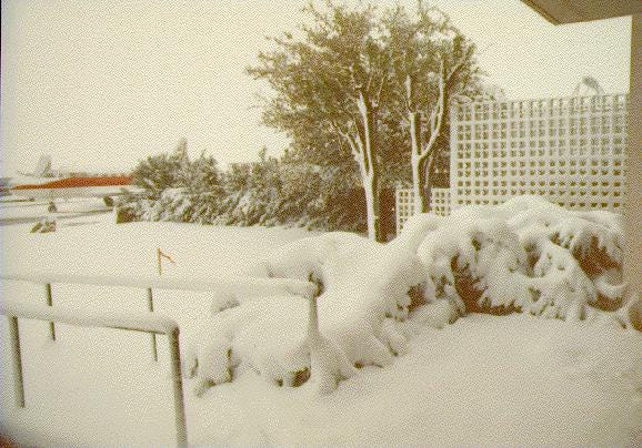 Snow captured in the borderland in 1987, with 22.8 inches of snow falling weeks before Christmas.