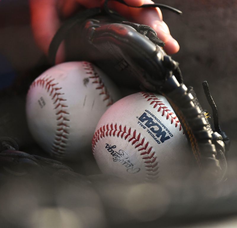 A kid in the stands has a collection of baseballs in his glove as he watches LSU play Arkansas during the SEC Tournament elimination game Thursday, May 25, 2023, at the Hoover Met.